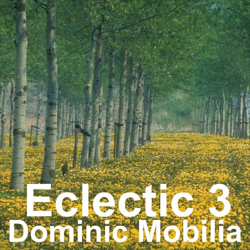 Eclectic 3