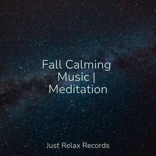 Fall Calming Music | Meditation_poster_image