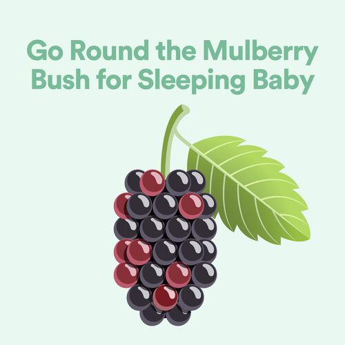 Go Round the Mulberry Bush for Sleeping Baby_poster_image