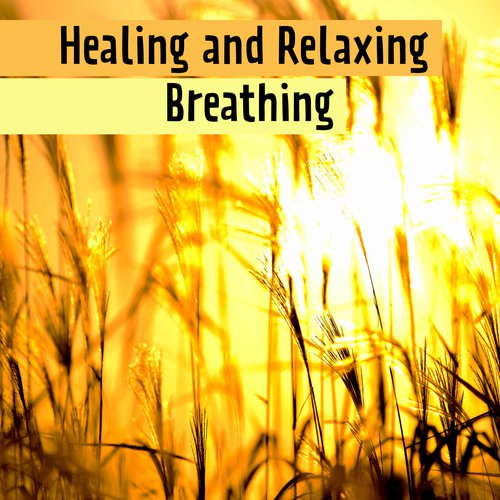 Healing and Relaxing Breathing – Mindfulness of Nature, Reduce Stress, Deep Breath Techniques, Energize Body and Clearing Mind