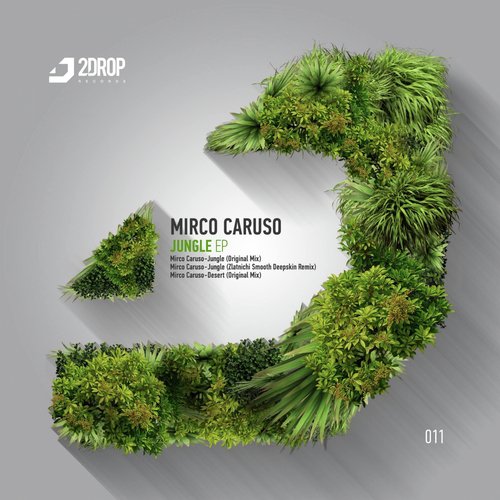 Jungle (Zlatnichi Smooth Deepskin Remix) cover art