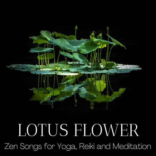 Lotus Flower