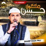 Manqabat-e-Imam Maula Hasan