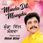 Jado Sajjna Fadi Meri Banh artwork