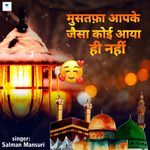 Mustafa Aapke Jaisa Koi Aaya Hi Nahi