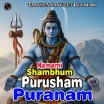 Namami Shambhum Purusham Puranam