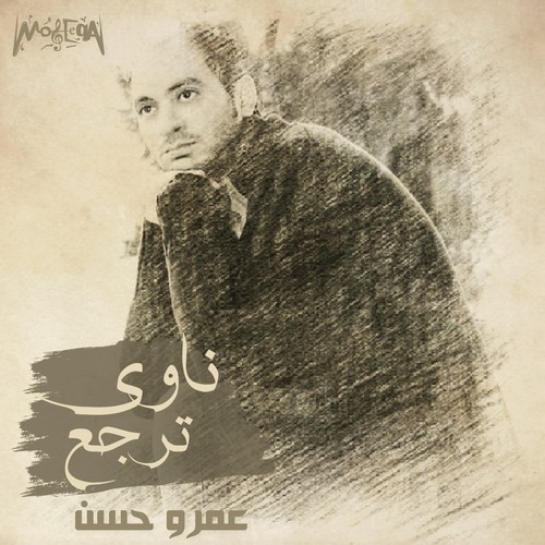 Amr Hassan