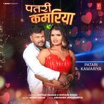 Patari Kamariya artwork