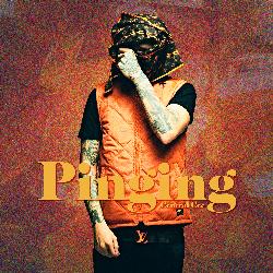 Pinging (6 Figures)