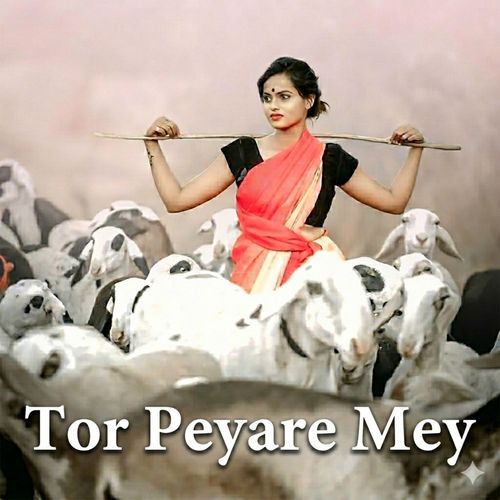 Tor Peyare Mey