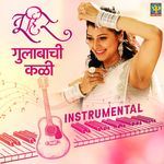 Gulabachi Kali - Instrumental