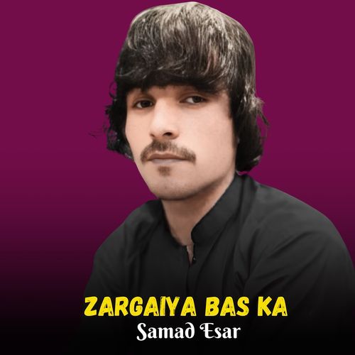 Zargiya Bas Ka