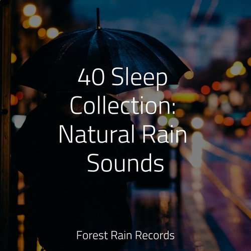 Rain, Storm and Thunder cover art