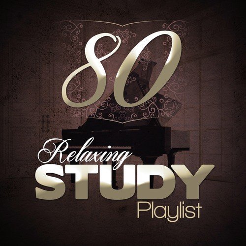 80 Relaxing Study Playlist