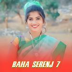Baha serenj 7