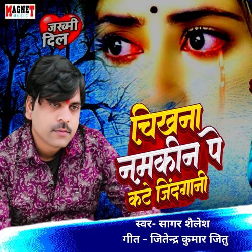 Chikhna Namkin Pe Kte Jindgani