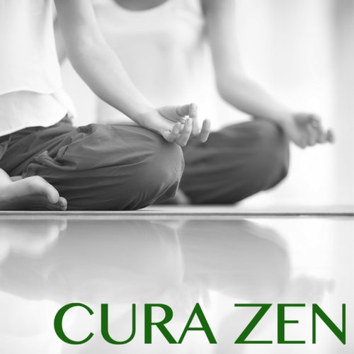 Zen Master cover art