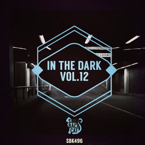In the Dark, Vol. 12