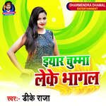Iyarwa Chumma Leke Bhagal