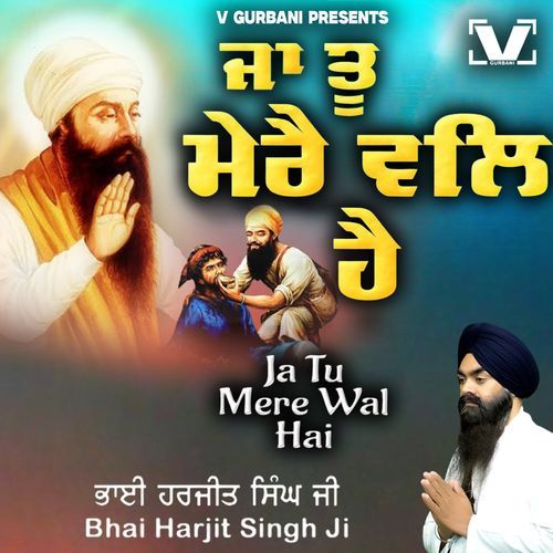 Ja Tu Mere Wal Hai