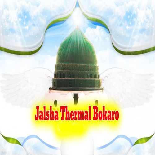 Jalsha Thermal Bokaro