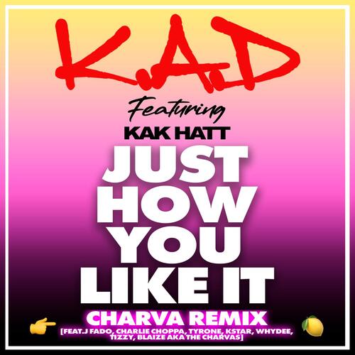 Just How You Like It (Charva Remix)