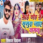 KAHE CHOD KE SASURA GAILU