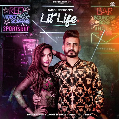 Lit Life_poster_image