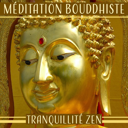 Séance de yoga Namaste cover art
