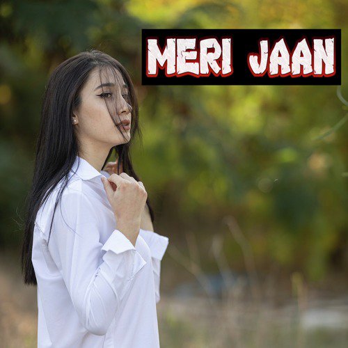 Meri Jaan_poster_image