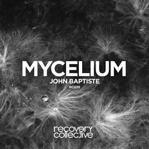 Mycelium_poster_image