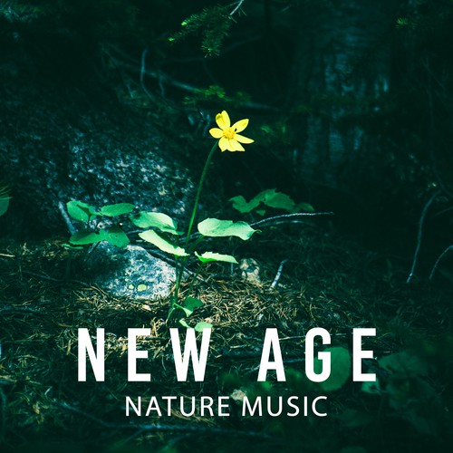 New Age Nature Music – Sounds of Calmness, Nature Sounds to Rest & Relax, Chilled Music, Rain Sounds