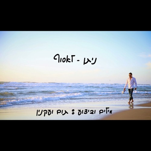 Nitan Leesof cover art