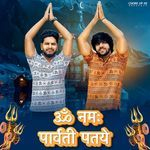 Om Namo Parvati Pati