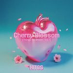 Cherry Blossom