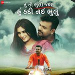 Tu To Bhuli Jais Hu Kadi Nai Bhuli