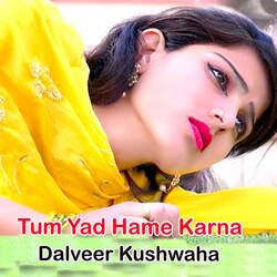 Tum Yad Hame Karna-Rz4ZYkNaeHw