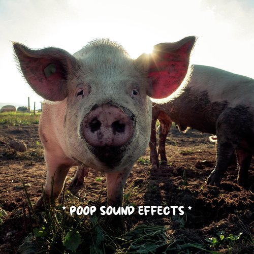 Funny Fart Sound Effects Song Download from * poop sound effects