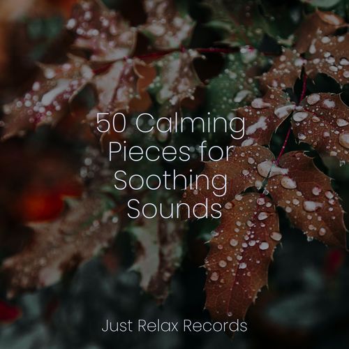 50 Calming Pieces for Soothing Sounds