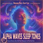 Delta Sleep Frequencies Journey artwork