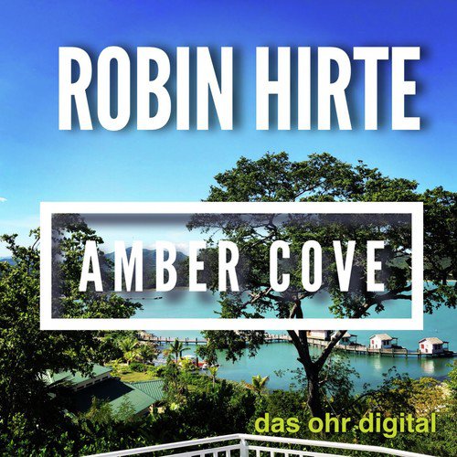 Amber Cove_poster_image