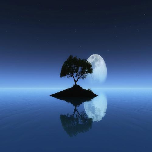 Calm Thoughts cover art
