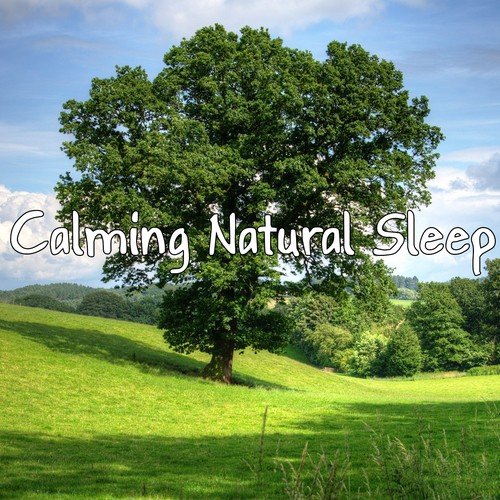 Calming Natural Sleep