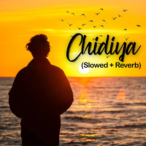 Chidiya Lofi (Slowed + Reverb)