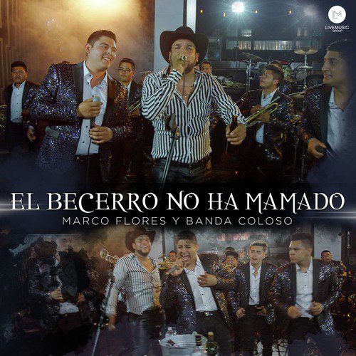 El Becerro No Ha Mamado (En Vivo) [feat. Banda Coloso]