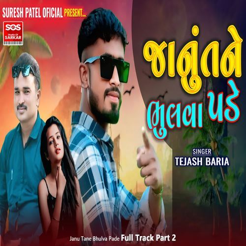 Janu Tane Bhulva Pade Full Track Part 2
