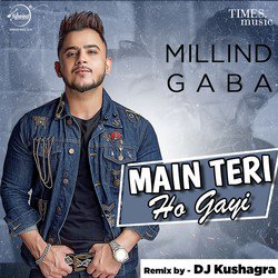 Main Teri Ho Gayi - Remix