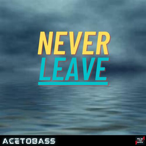 Never Leave (feat. Jayden Salas)_poster_image