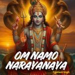 Om Namo Narayanaya