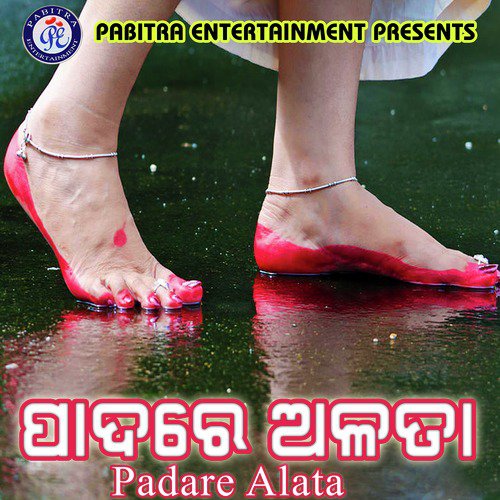 Padare Alata_poster_image